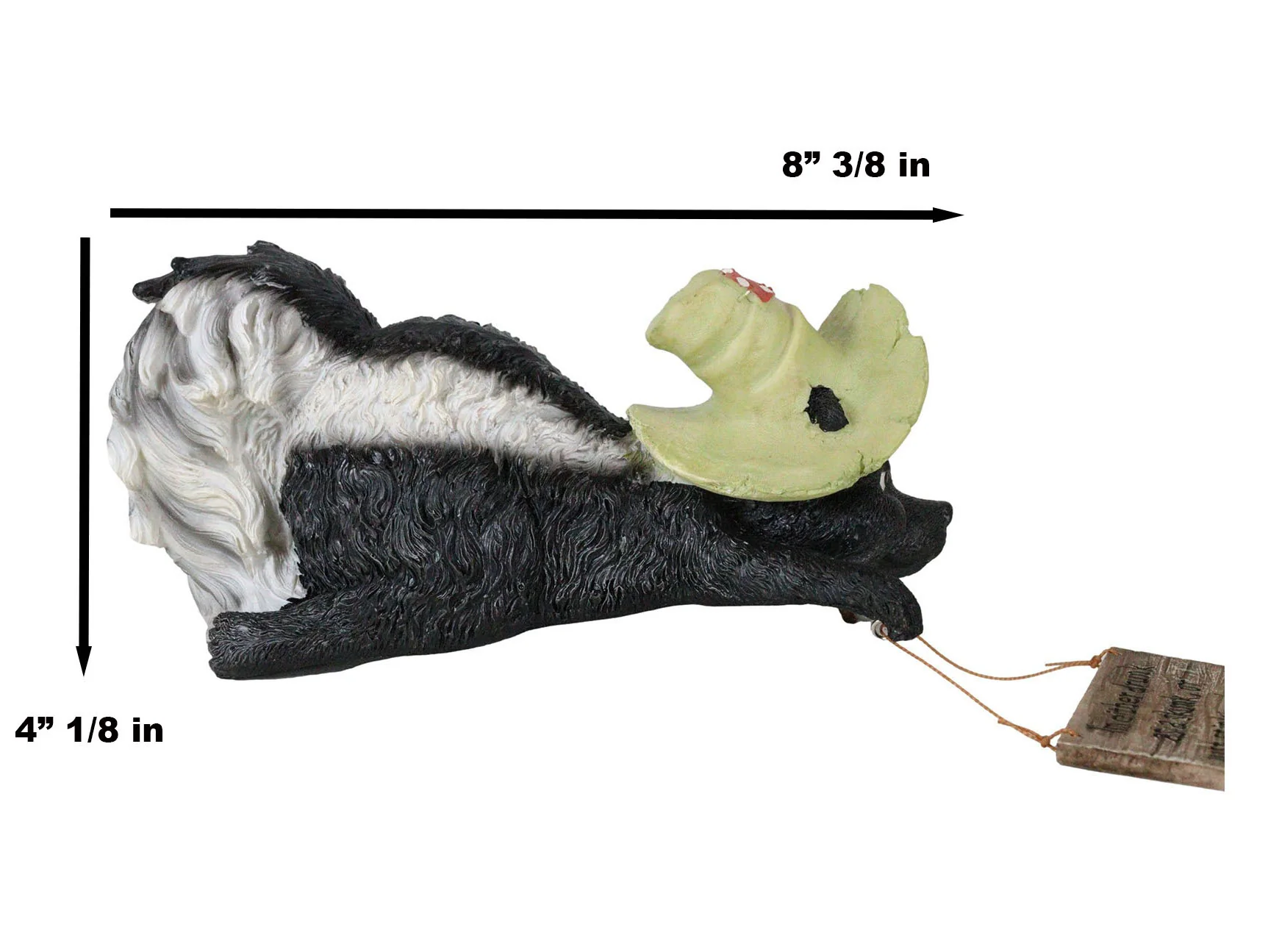 Thumbnail 8